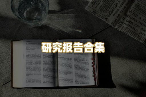 研究报告合集